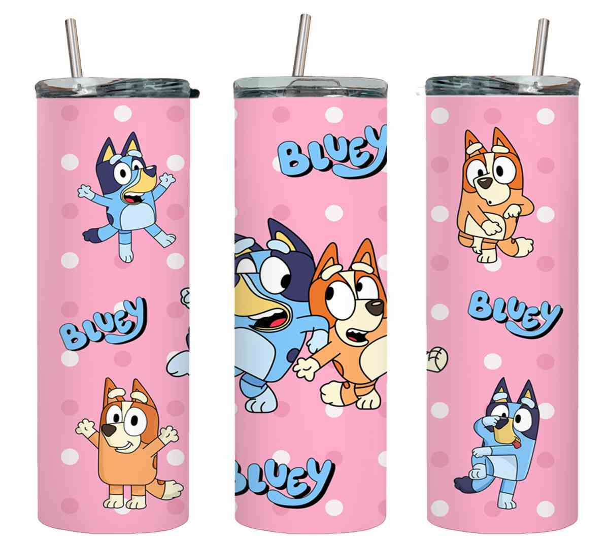 Bluey-8637